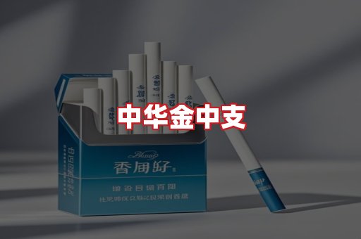 中华金中支